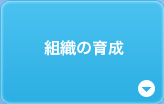 組織の育成